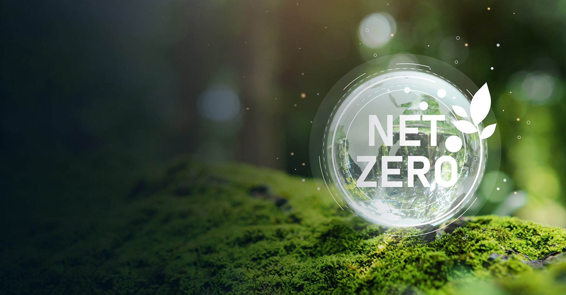 Case Study Salesforce Net Zero Cloud Implementation for Sustainability